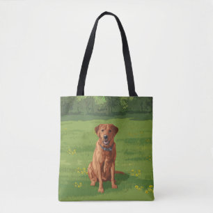 Fuchsroter Gelber Labrador Retriever Hund