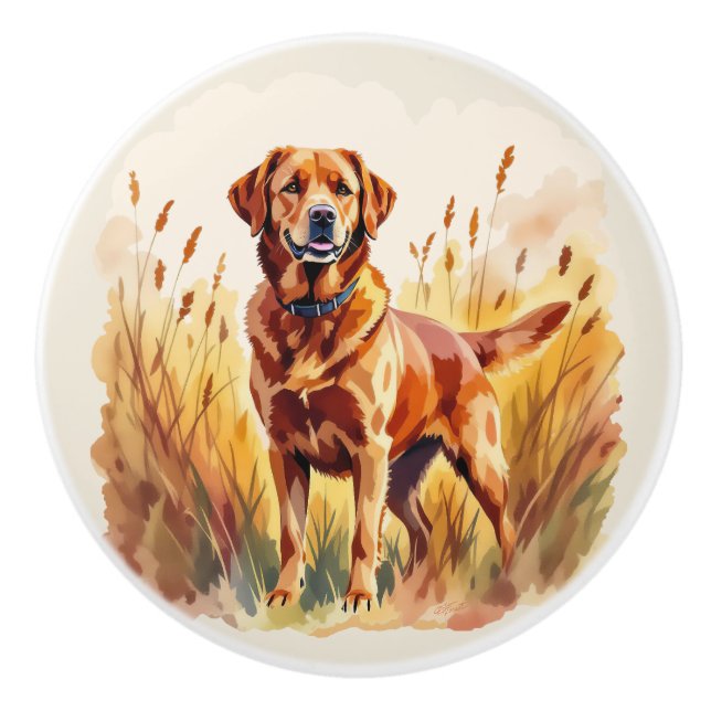 Fuchsroter Labrador Retriever Hund Keramikknauf (Vorderseite)