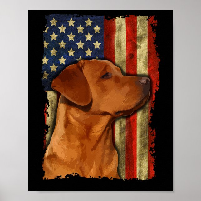 Fuchsroter Labrador Retriever US-Flagge Fuchsroter Poster (Vorne)