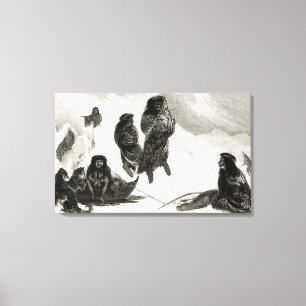 Fuegians, das geht, in Zapallos zu handeln Leinwanddruck