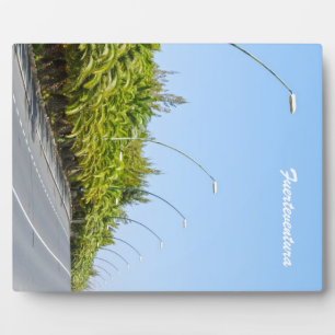 Fuerteventura Plakette Fotoplatte