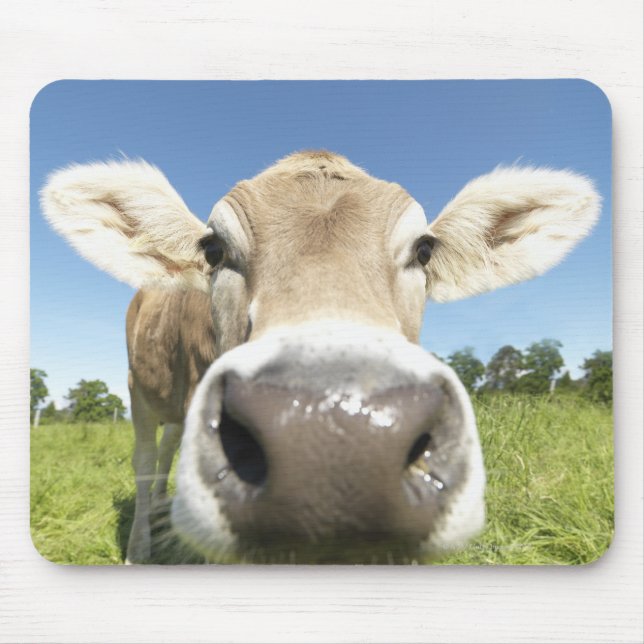 Fuessen, Bayern, Deutschland Mousepad (Vorne)