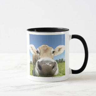 Fuessen, Bayern, Deutschland Tasse