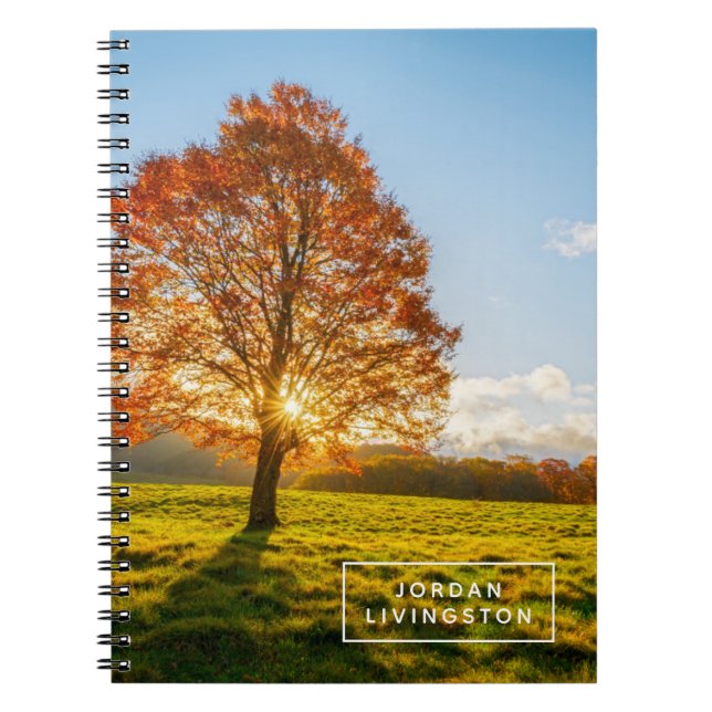 Füge Deinen Namen hinzu | Baum am Feuer Notizblock (Vorderseite)