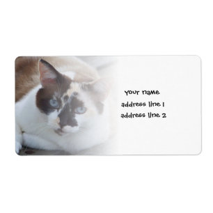 Füge ein Haustierfoto-Labels 2026 hinzu