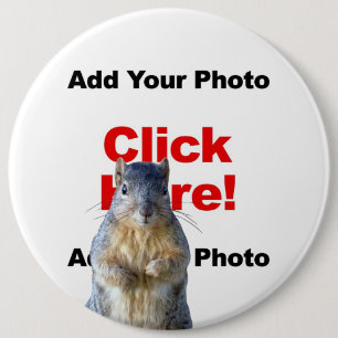 Füge einen Eichhörnchen-Button mit benutzerdefinie Button