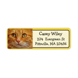 Fügen Sie das Foto Ihrer Katze diesem Adressetiket