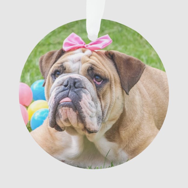 Fügen Sie dem Niedlichen Foto und Namen Ihres Hund Ornament (Vorderseite)