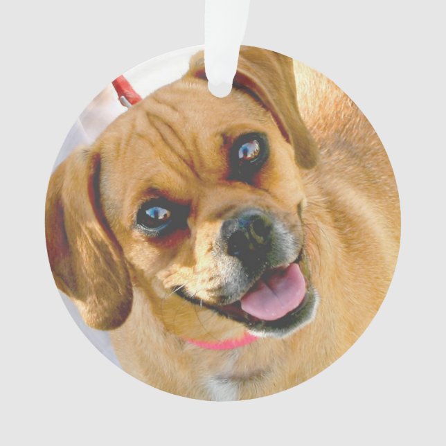 Fügen Sie ein Foto und jeden möglichen Text auf Ornament (Vorderseite)