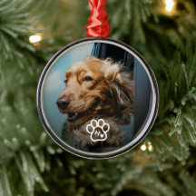 Fügen Sie Ihr eigenes Foto Hund Haustiere Monogram