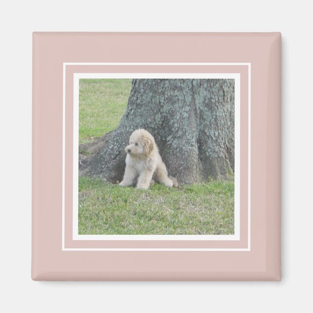 Fügen Sie Ihr Foto dem modernen Bauernhaus Pink &  Magnet (Vorne)