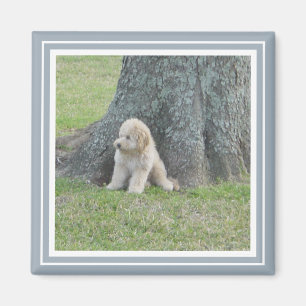 Fügen Sie Ihr Foto dem modernen Bauernhof Blau Magnet