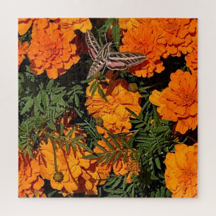 Fügen Sie Ihr Foto Sphinx Moth auf Orange Marigold Puzzle