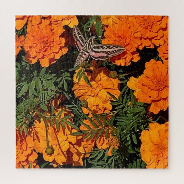 Fügen Sie Ihr Foto Sphinx Moth auf Orange Marigold Puzzle (Vertikal)