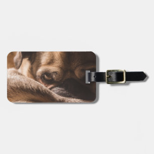 Fügen Sie Ihre eigene Hundeschlittenreise hinzu Gepäckanhänger