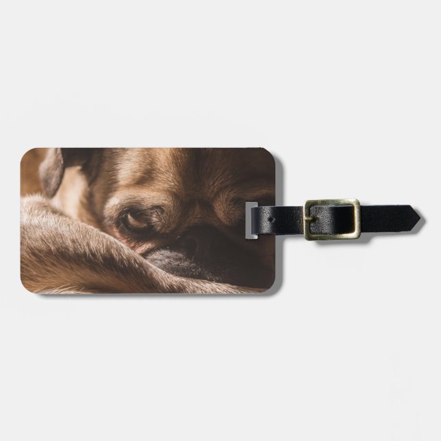 Fügen Sie Ihre eigene Hundeschlittenreise hinzu |  Gepäckanhänger (Vorderseite horizontal)