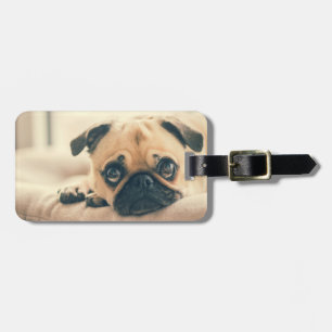 Fügen Sie Ihre eigene Hundeschlittenreise hinzu Gepäckanhänger