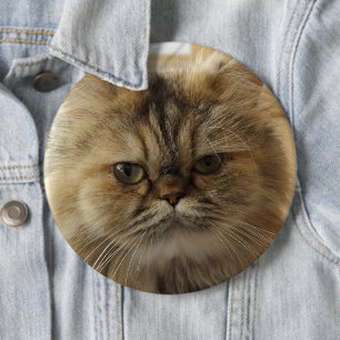 FÜGEN SIE IHRE KATZKATZKUNDENKUSTOM-GROSSE SCHALTF BUTTON
