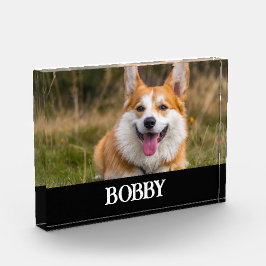 Fügen Sie Ihrem eigenen Hund Foto und Namen hinzu