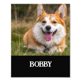 Fügen Sie Ihrem eigenen Hund Foto und Namen hinzu