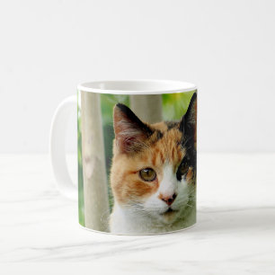 Fügen Sie Ihrem Kaffeebecher ein Foto Ihrer Katze  Kaffeetasse