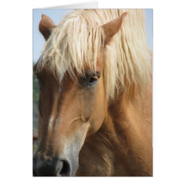 Fügen Sie Ihren eigenen Text hinzu!