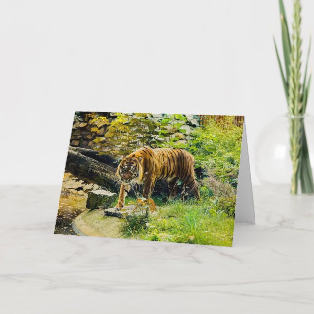 FÜGEN SIE IHREN EIGENEN TEXT-Tiger hinzu Karte (Vorderseite)