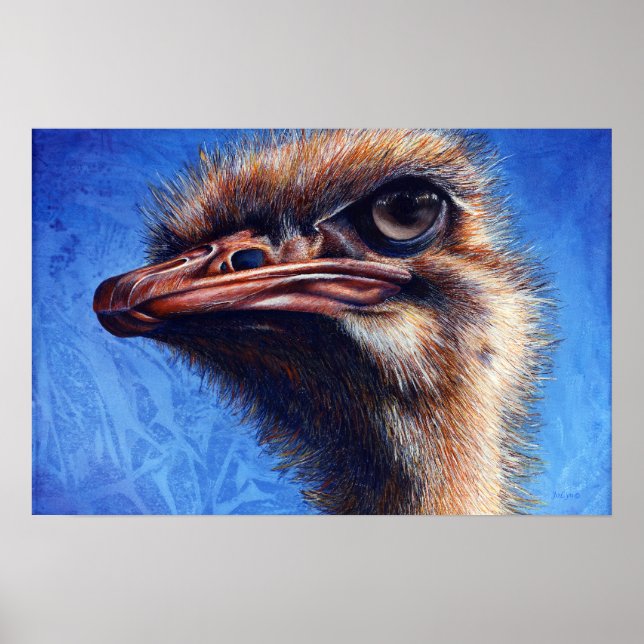 Fugley Ostrich Print Poster (Vorne)