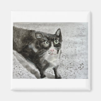 Fügt das Kätzchen auf den Magneten Magnet