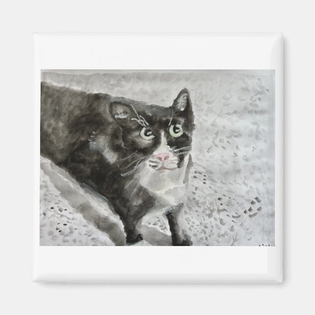 Fügt das Kätzchen auf den Magneten Magnet (Vorne)