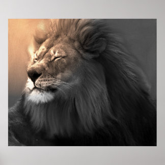 Fühlen Sie das weiße Licht Poster