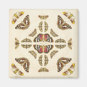 Führen Sie von Platte VI einzeln auf Magnet