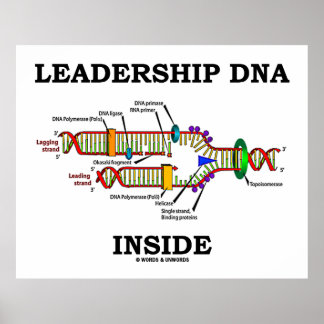 Führende DNA innerhalb (Biologieeinstellung) Poster