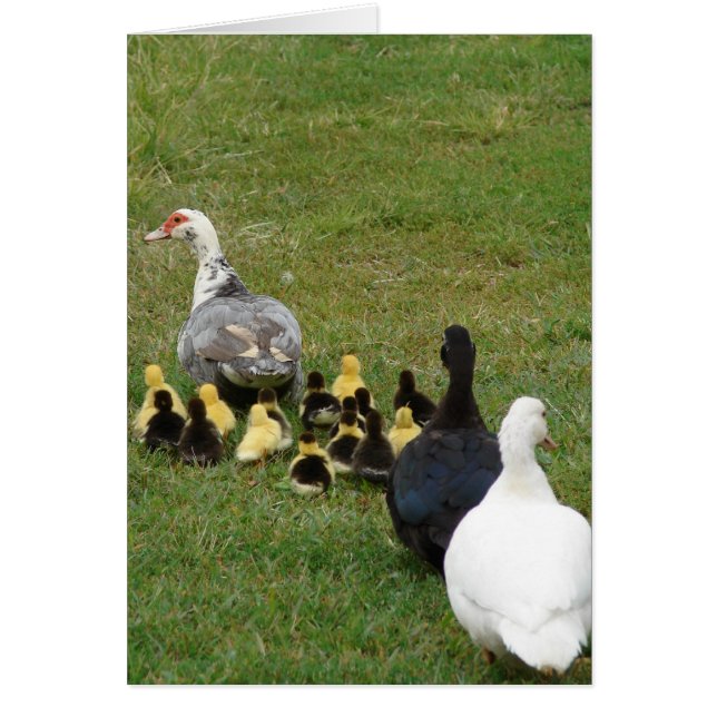 Führende Familienfilme in einer Linie (Vorne)