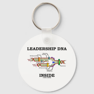 Führung der DNA innerhalb (DNA-Replikation) Schlüsselanhänger