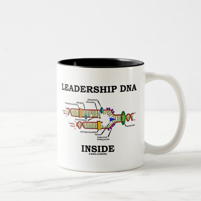 Führung der DNA innerhalb (DNA-Replikation) Zweifarbige Tasse (Rechts)