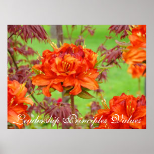 Führungs-Prinzip-Wertkunst druckt Büro-Kunst Poster