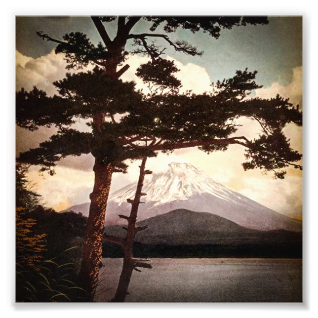 Fuji durch die Pines Vintages altes Japan Fotodruck (Vorne)