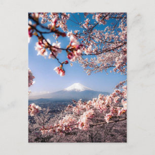 Fuji und Kirschbaum Postkarte