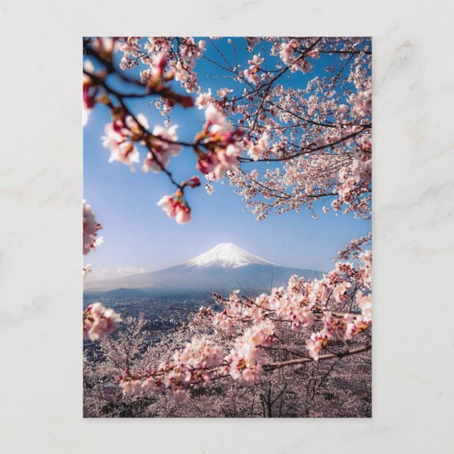 Fuji und Kirschbaum Postkarte (Vorderseite)