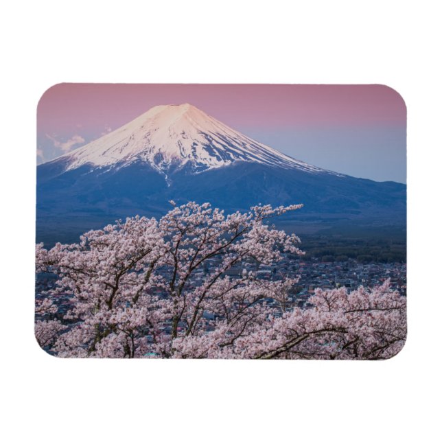 Fuji und Kirschblüten Magnet (Horizontal)