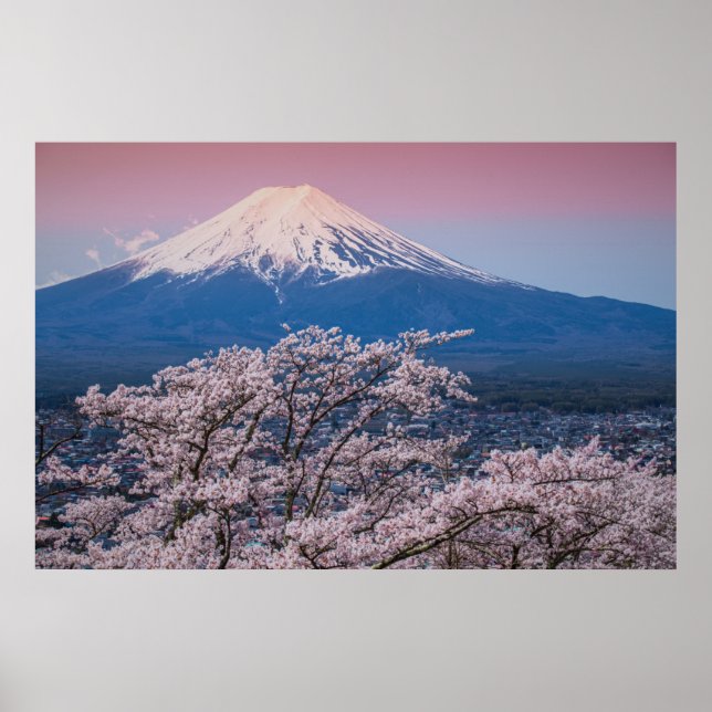 Fuji und Kirschblüten Poster (Vorne)