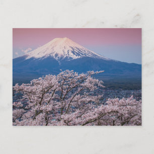Fuji und Kirschblüten Postkarte