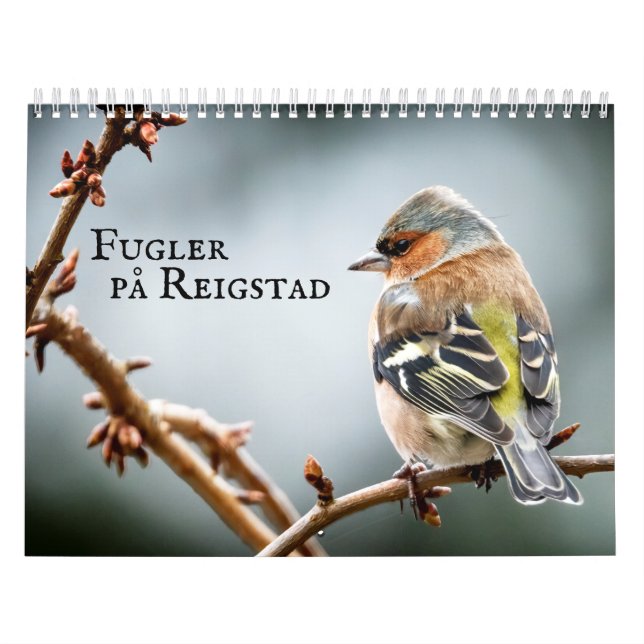 Fulger på Reigstad - Kalender 2021 (Titelbild)
