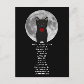 Full Moon Cat 2026 Postcard Postkarte