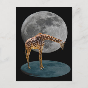 FULL MOON GIRAFFE POSTKARTE