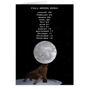 Full Moon Walrus 2024 US Eastern Date