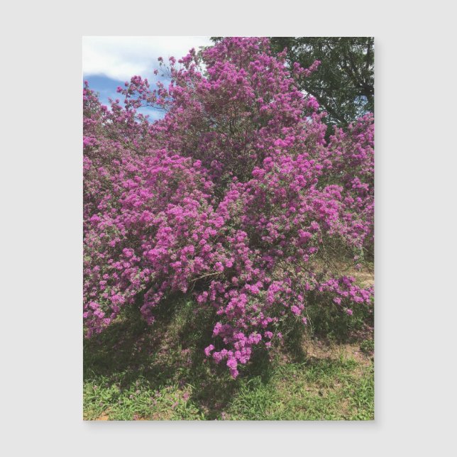 Full Rebel Sage Magnet (Vorderseite)