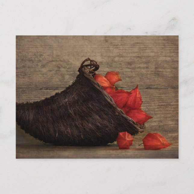 Füllhorn Postkarte (Vorderseite)