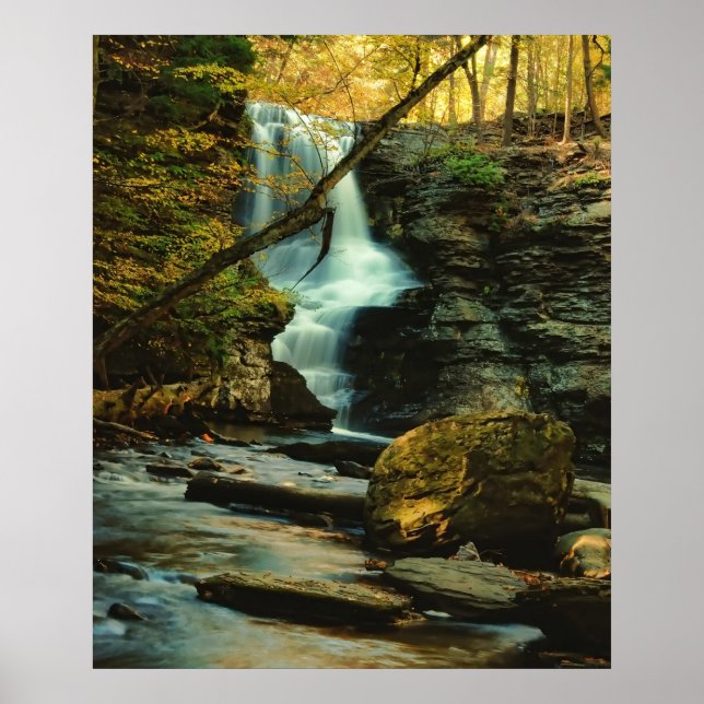 Fulmer Falls Poster (Vorne)